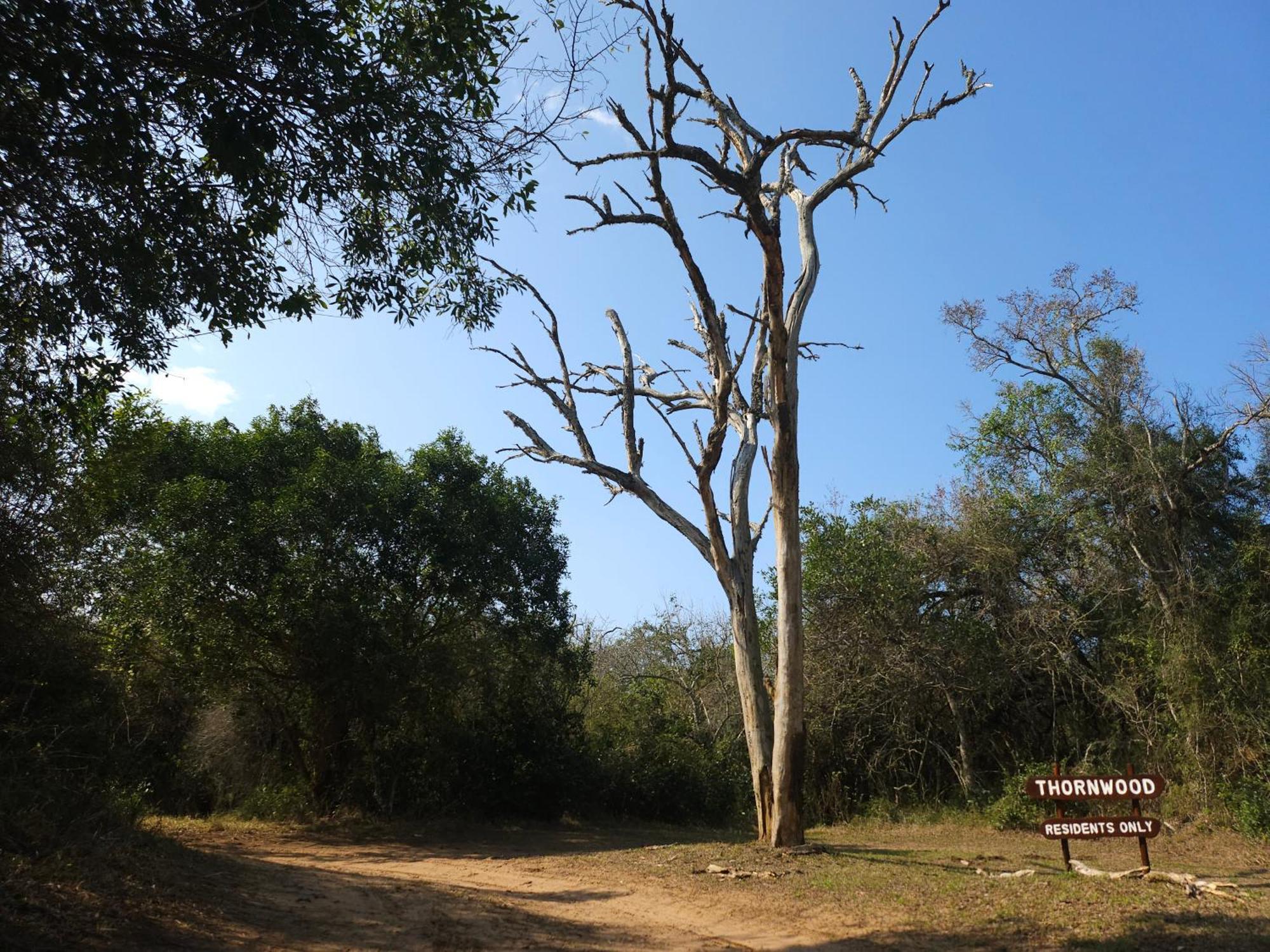 Thornwood Villa Hluhluwe Luaran gambar